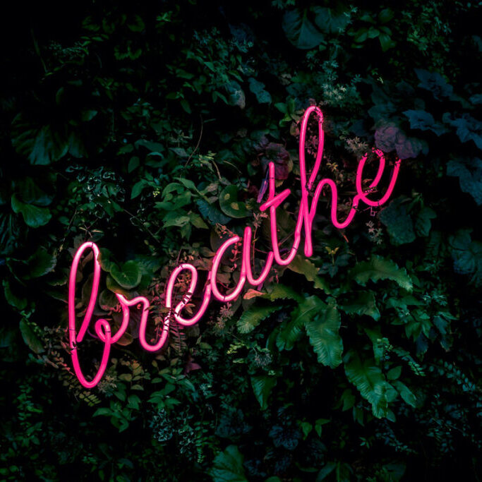 fabian-moller-gI7zgb80QWY-unsplash
